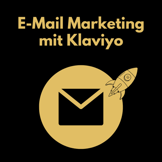Klaviyo E-Mail Marketing Einrichtung - S+K Lions Academy